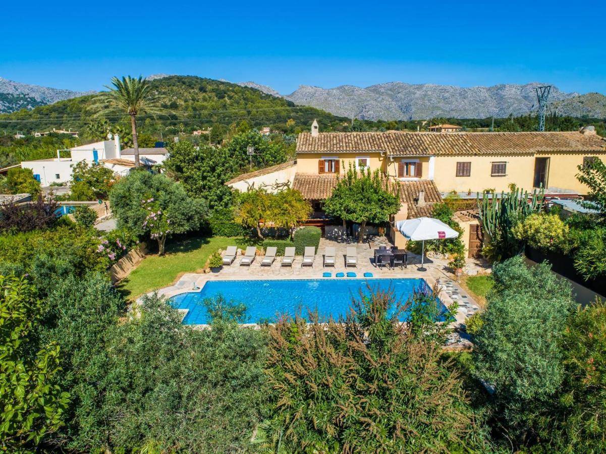 Ideal Mallorca - Verga * Pollenca