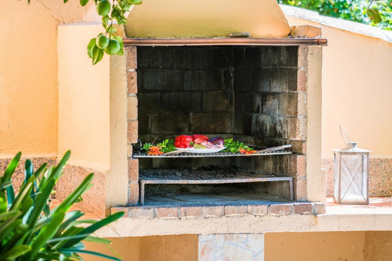 Country house Ideal Mallorca - Verga *